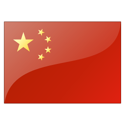 中文 (中国)